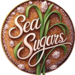 logo1 removebg preview (1)